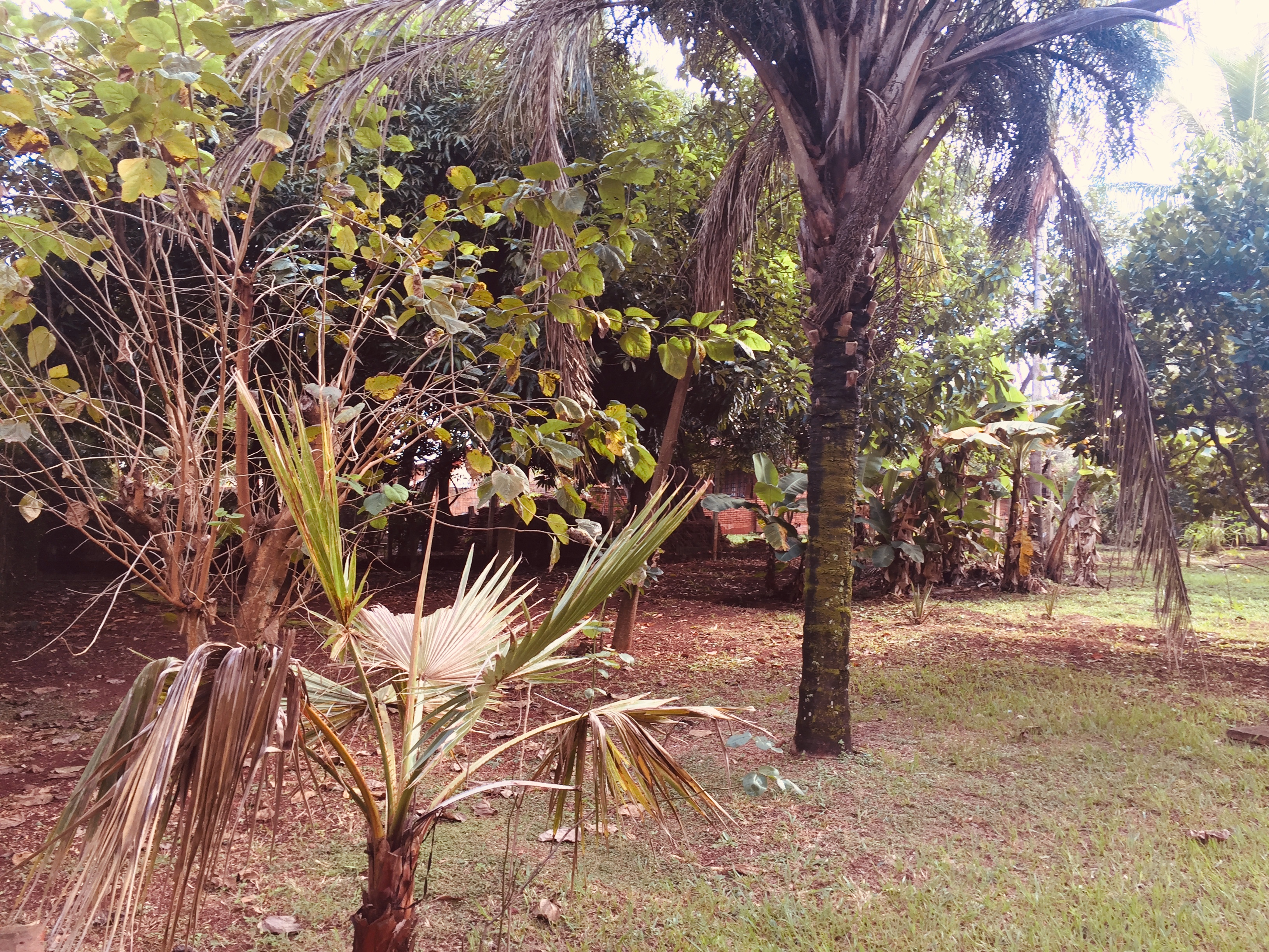 Chácara à Venda no bairro Condomínio Frei Galvão em Jaú imagem 13