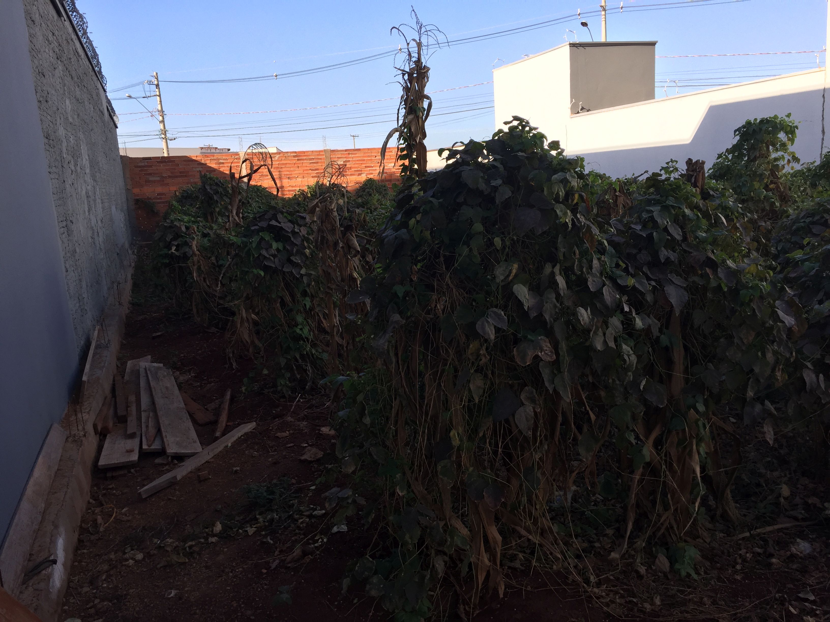 Terreno à Venda no bairro Jardim Dona Emília em Jaú imagem 2