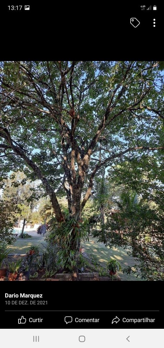 Chácara à Venda no bairro Jardim Ipanema em Brotas imagem 9