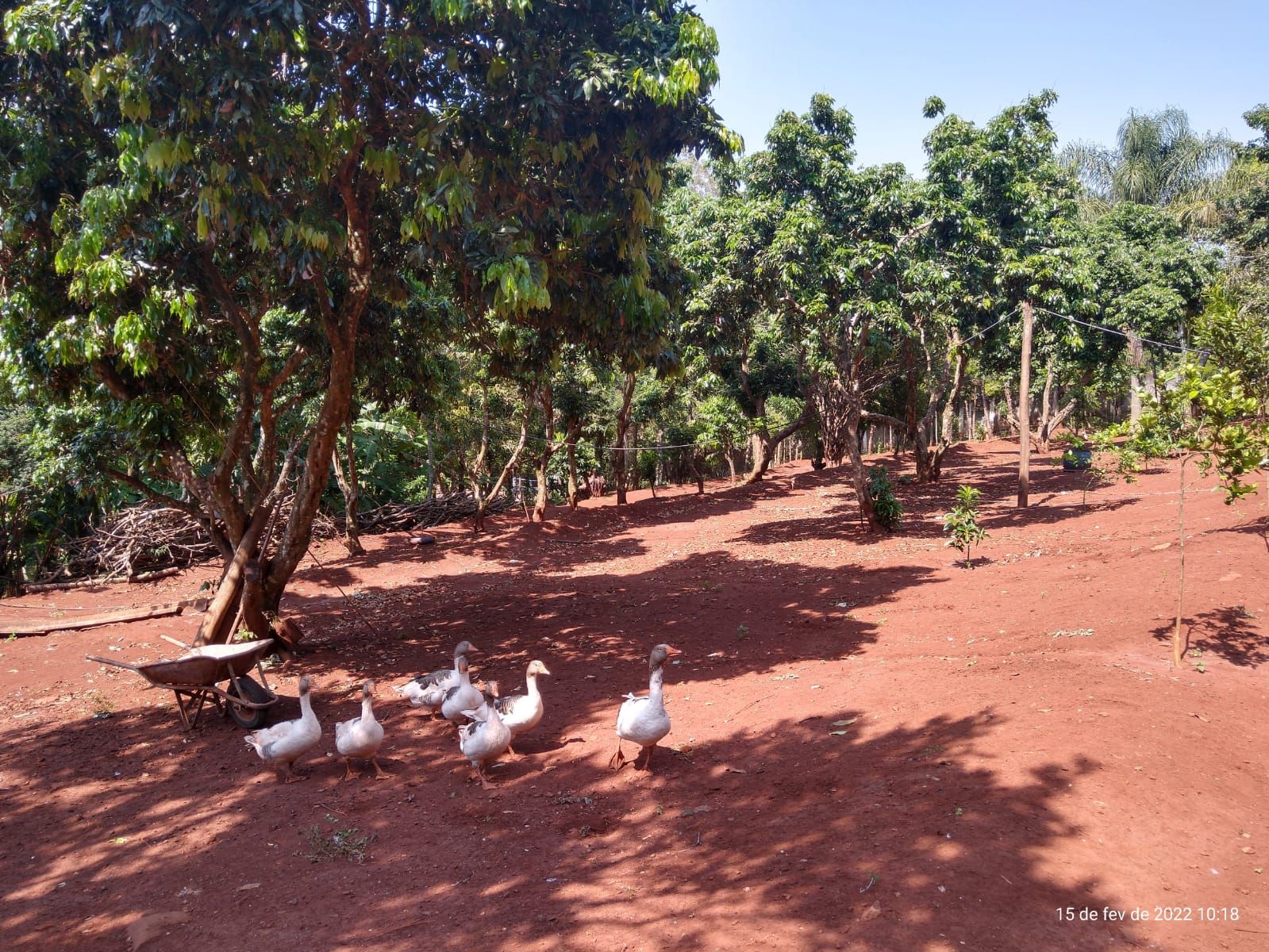 Casa à Venda no bairro Chácara Estância Suave em Jaú imagem 17