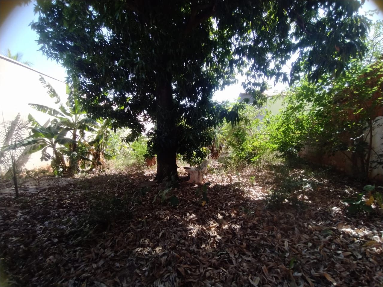 Casa à Venda no bairro Vila Hilst em Jaú imagem 12