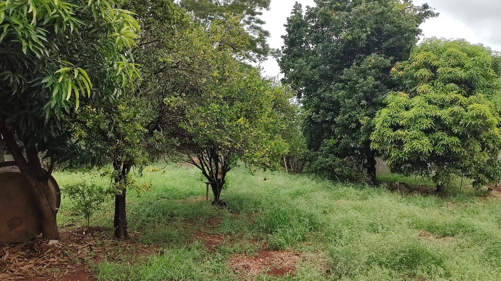 Rancho à Venda no bairro Condomínio Frei Galvão em Jaú imagem 12