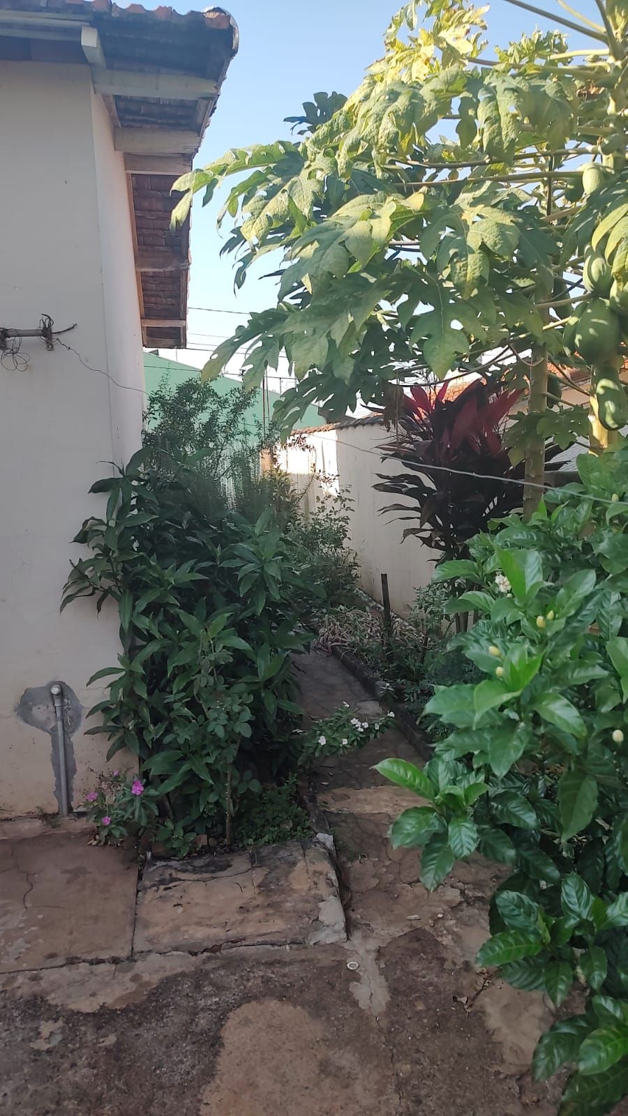 Casa à Venda no bairro Vila Ivan em Jaú imagem 14