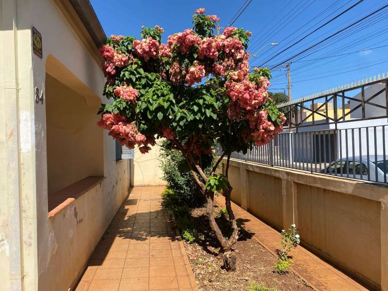 Casa à Venda no bairro Vila Hilst em Jaú imagem 0