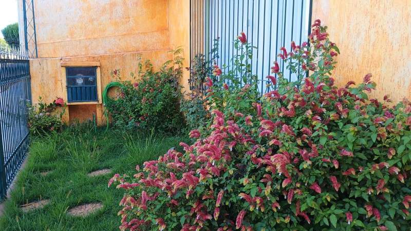 Casa à Venda no bairro Jardim Estádio em Jaú imagem 11