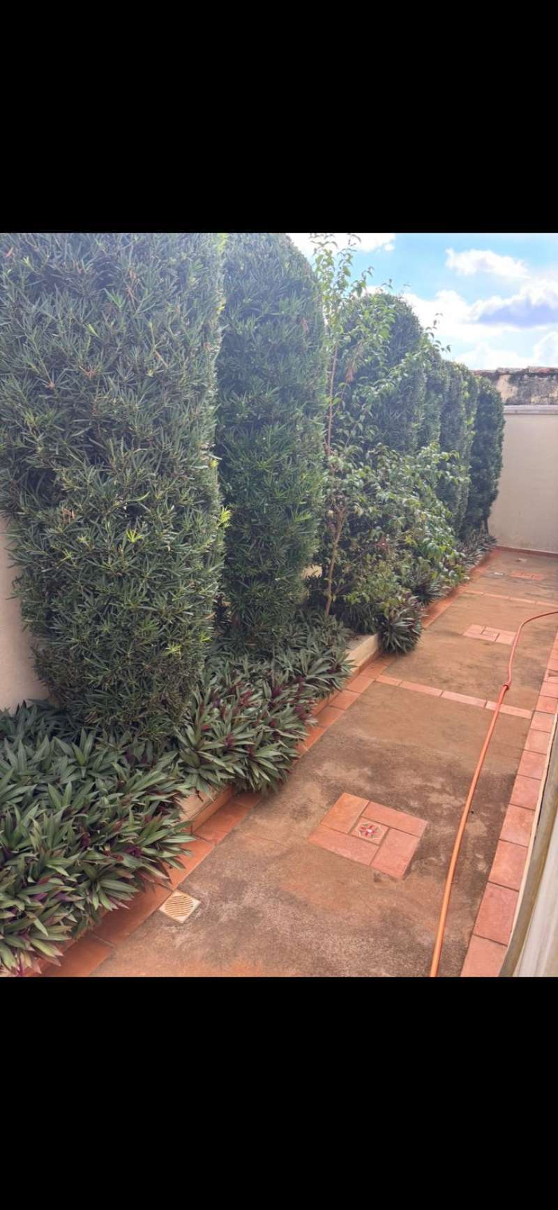 Comercial à Venda no bairro Centro em Jaú imagem 26