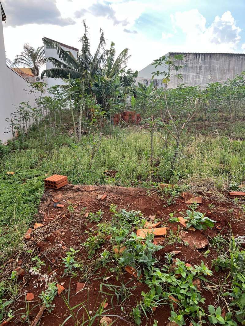 Terreno à Venda no bairro Jardim Alvorada em Jaú imagem 5