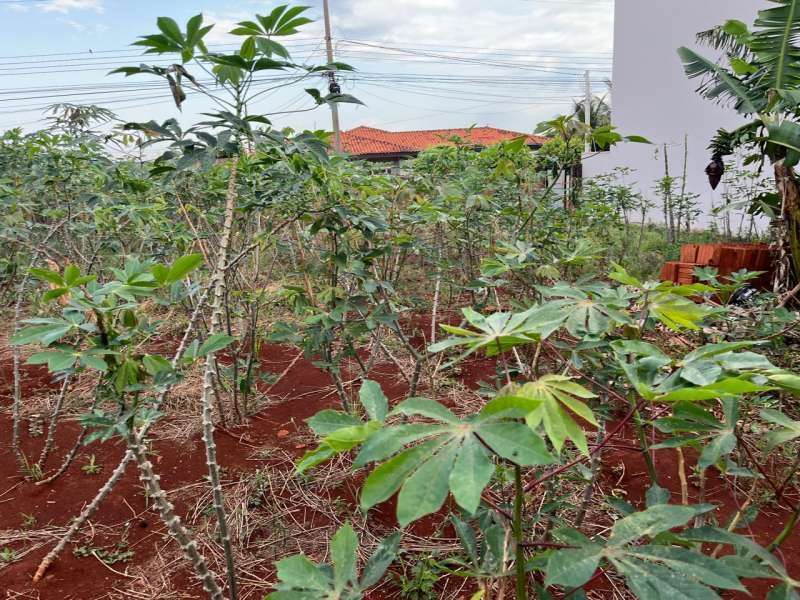 Terreno à Venda no bairro Jardim Alvorada em Jaú imagem 7
