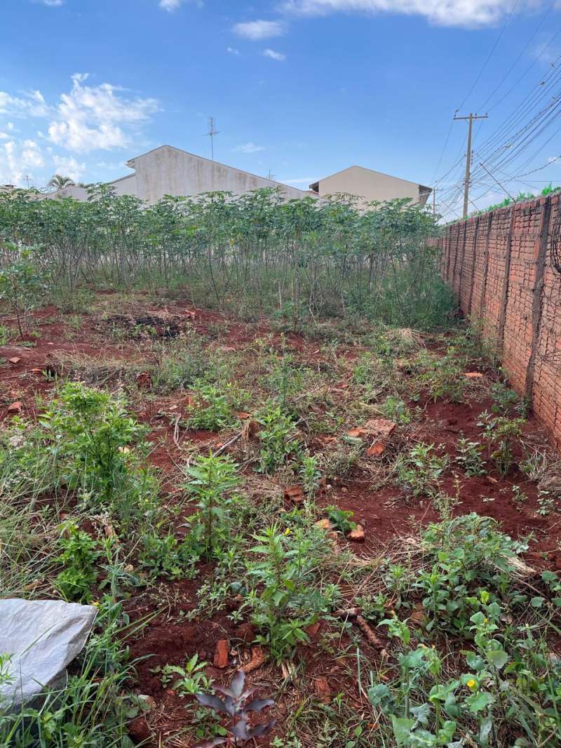 Terreno à Venda no bairro Jardim Alvorada em Jaú imagem 3