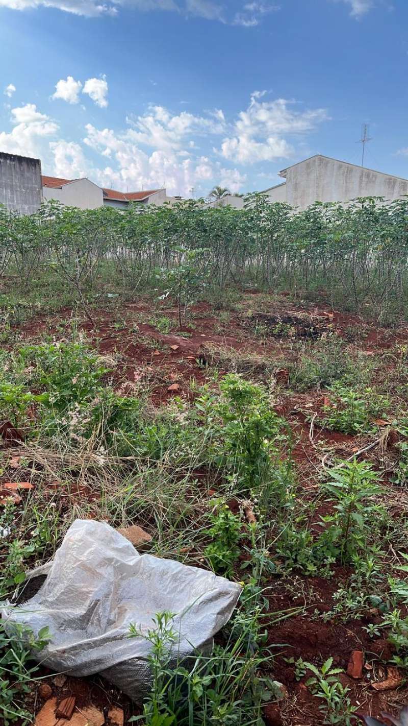 Terreno à Venda no bairro Jardim Alvorada em Jaú imagem 4