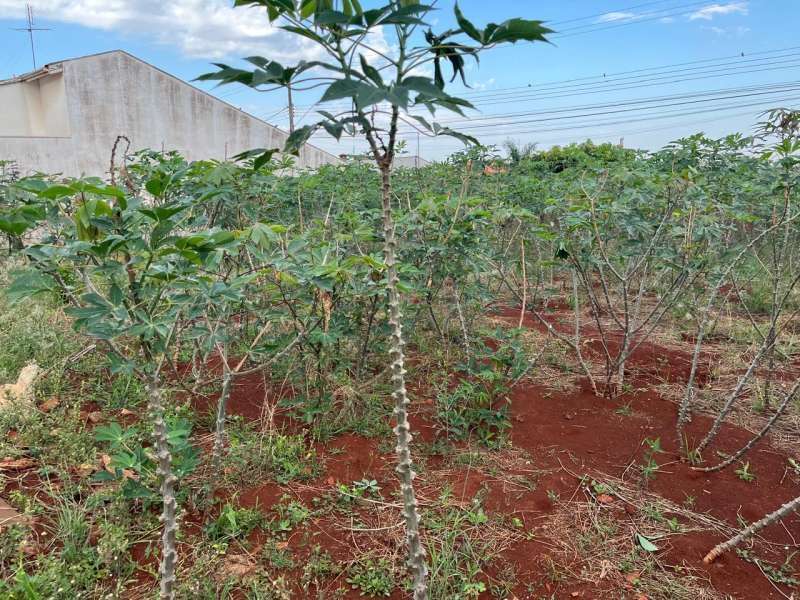 Terreno à Venda no bairro Jardim Alvorada em Jaú imagem 0
