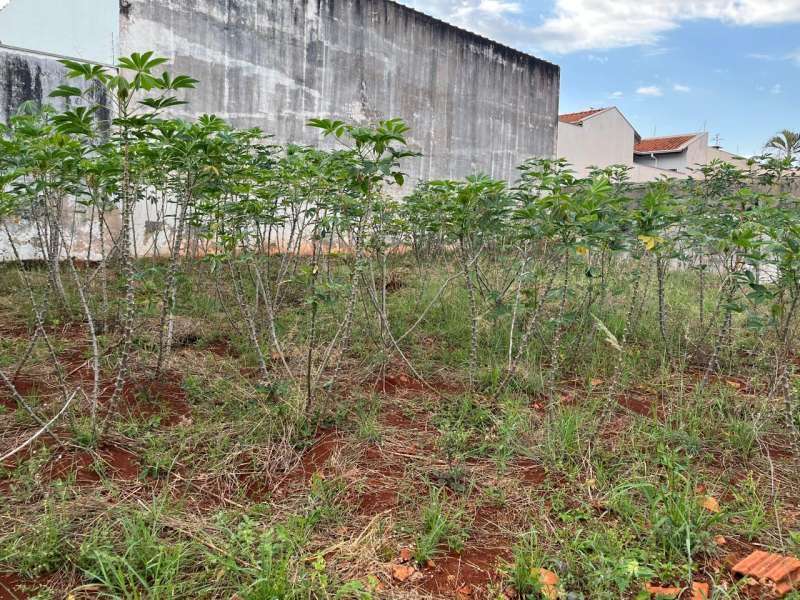 Terreno à Venda no bairro Jardim Alvorada em Jaú imagem 1